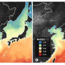 [위성으로 본 경제] ‘金값’ 된 김, 바다 열 받으면 식탁서 사라진다 이미지