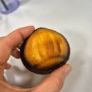 인터넷플라자 | 상하이버터떡 후기 레시피 ft.블랑제리 더 플라자 호텔 베이커리 영업 종료 일정