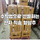 꿈에그린 분식 | 중앙동 샐러드 샐북, 아직도 굶으세요 ?