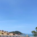 세계조개박물관 이미지