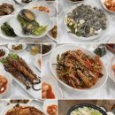윤희네뻘낙지 | 무안 뻘낙지 거리 [윤희네뻘낙지]