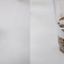 화분케이크 아시아경제