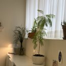 경주를 그리다 | [경산]그리다빵 본점 빵 후기~