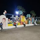 이집트 샤름 엘 셰이크(Sharm el Sheikh)에서 카이로(Cairo) 이동 이미지