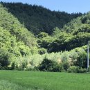 기호목장 이미지