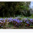 감천 소리 이미지