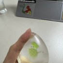 경화사 네이버블로그