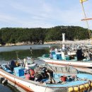 코즈펜션(커플&가족&단체&복층) | 독채로 즐기기 좋은 기장 가족 펜션 추천 들꽃도자펜션 솔직후기