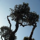 명동초등학교 이미지