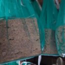 대성3리 경로당 이미지