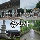 팔공산 드라이브 추천 코스 대구 대표 고찰 동화사 후기와 템플스테이 정보
