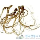 Re: 이기산(利氣散)﻿소변폐색(小便閉塞) 소변이 나오지 않고 막힌 것 이미지