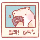 아띠펫살롱 이미지