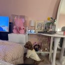 꽃길만 걷장 이미지