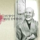 주옥 이미지