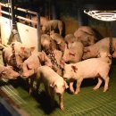 재정농장 이미지