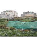 성안동주민센터 이미지