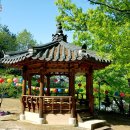 철탄경로당 네이버블로그