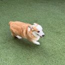 멍테소리 이미지