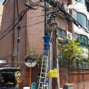 도곡2동주민센터 이미지