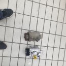 새실2길 이미지