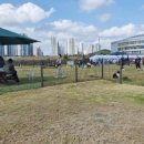 와스타디움 이미지