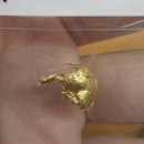 서울바른경치과의원 | 금니판매로 치과 진료비 아낀 후기