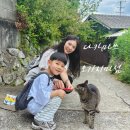 알로이시오기지 작은도서관 | 다카마쓰 고양이섬 6세 아이랑 오기지마섬 여행