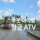 포레스트878 | 우붓 정글 ATV 후기 | 코스·가격·아이 동반 리얼 체험기
