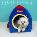 덕소15리(신한아파트) | 덕소리 애견용품 멍냥의민족 남양주덕소점 위치.가격.시간.후기