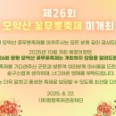 함평군청 티스토리