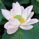 왕송호수공원 이미지