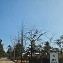 금강CC골프장화장실 | 여주골프장 금강CC 겨울라운드후기 (남동코스)