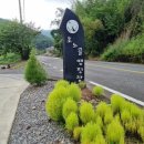 호노골 캠핑장 이미지