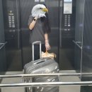 844 | ICN&lt;-&gt;TAO 서울/인천&lt;-&gt;칭다오 대한항공 KE845, KE844 후기