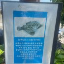 용화사 미륵석불 이미지