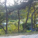 (주)영남통운