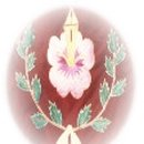 오안초 삼마치분교장 Daum카페