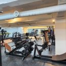 수진2호 이미지