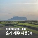 백사카서비스 | 혼자 제주 여행(3)