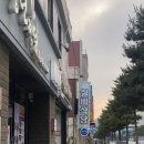 [삼척 맛집] 현지인 추천 한우 맛집 | 남양한우실비식당