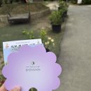 억만리로 1 | 8월 일상 + 플레이브 라뷰