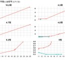 블루하이텔 이미지