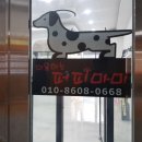 미용하는 퍼피마미 이미지