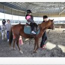 봉좌농장 이미지