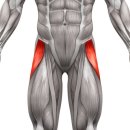 바른피티 이미지