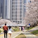 GS더프레시천안점 이미지