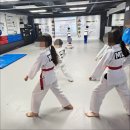 경희대 최강 MTA 태권도 이미지