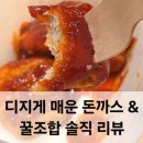 돈까스먹고가자 | 롯데리아 디진다돈까스 온정 디지게매운돈까스 궁금해? 꿀조합 가자
