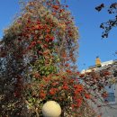 오가닉셀(주) | 런던 육아 일상 리아를 사랑하는 마음만큼은 진심인 초보 엄마